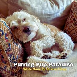 Doggy Dreamscapes: White Noise for Dogs' Sleep