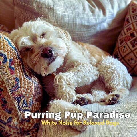 Purring Pup Paradise: White Noise for Relaxed Dogs