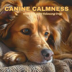 Puppy Paws Melodies: Soothing White Noise for Dogs
