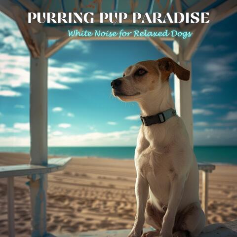 Purring Pup Paradise: White Noise for Relaxed Dogs