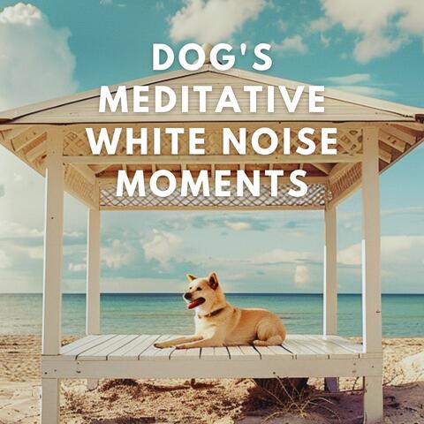 Dog's Meditative White Noise Moments