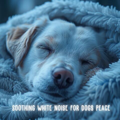 Soothing White Noise for Dogs Peace