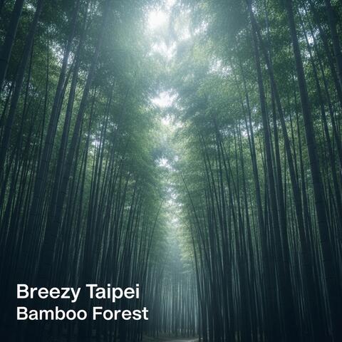 Breezy Taipei Bamboo Forest