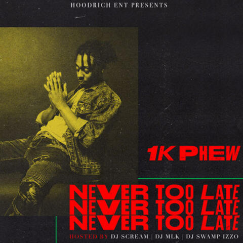 Never Too Late