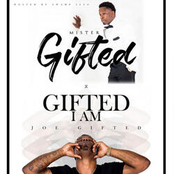 Spotlight She Lit (Mr Gifted)