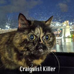 Craigslist Killer