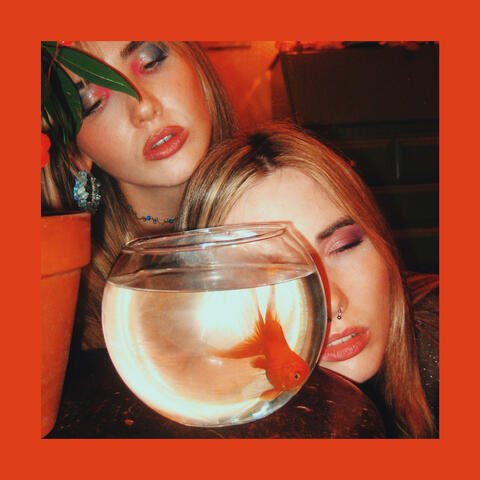 Goldfish
