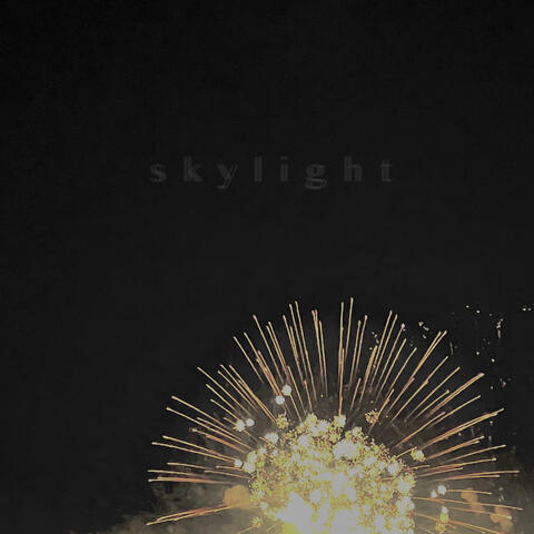 Skylight