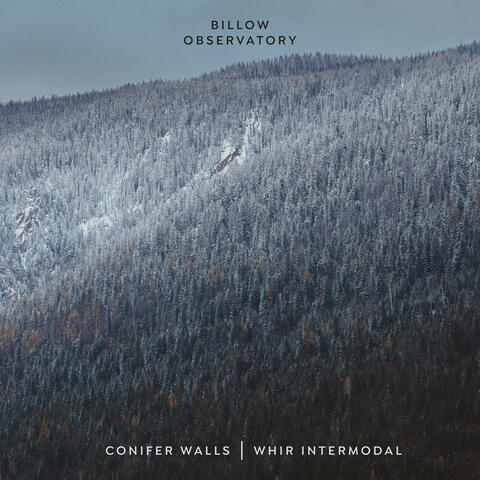 Conifer Walls | Whir Intermodal