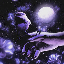 I DARE YOU TO BREAK (NICK PINGREE REMIX)