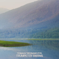 Trumpeter Swans