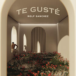 Te Gusté