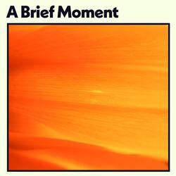 A Brief Moment