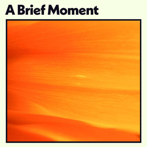 A Brief Moment