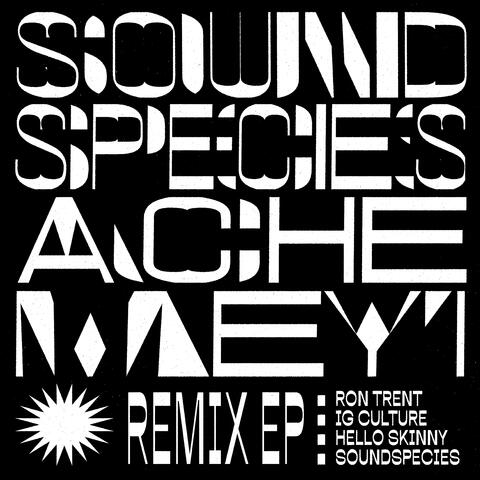 Soundspecies & Ache Meyi