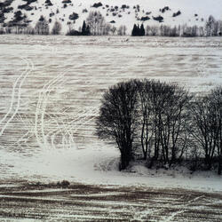 Untitled 11