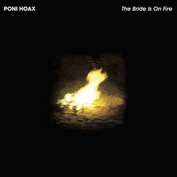 Principles of Geometry's Poni hoax's Paper Bride