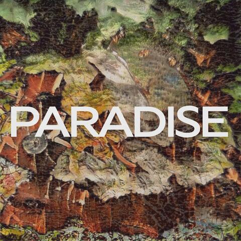 Paradise