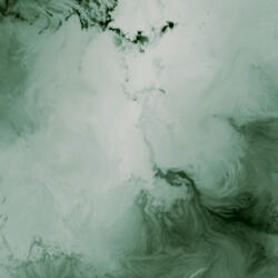 Expanse