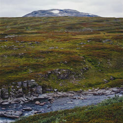 The Fells