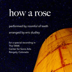 How A Rose