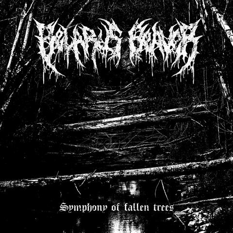 Symphony of Fallen Trees