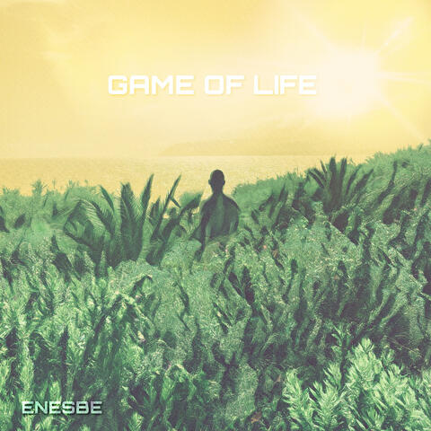 GAME OF LIFE