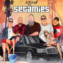 Setämies