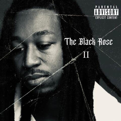 THE BLACK ROSE II