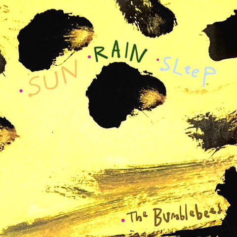 Sun Rain Sleep