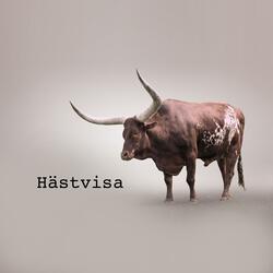 Hästvisa