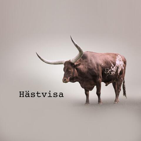 Hästvisa