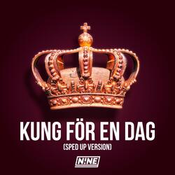 Kung för en dag
