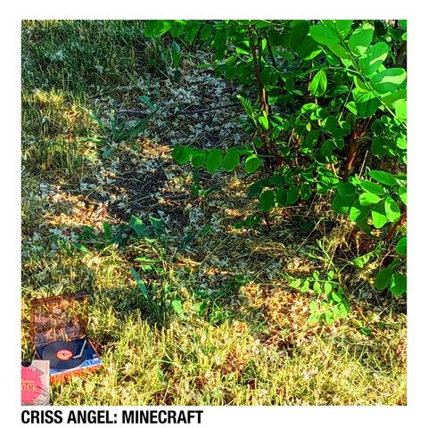 Criss Angel: Minecraft