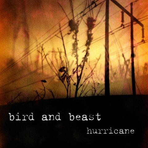 Hurricane