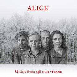 Gläns över sjö och strand