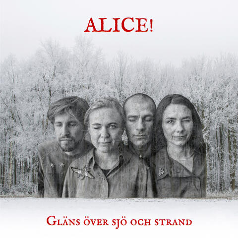 Gläns över sjö och strand