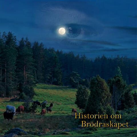 Historien om Brödraskapet