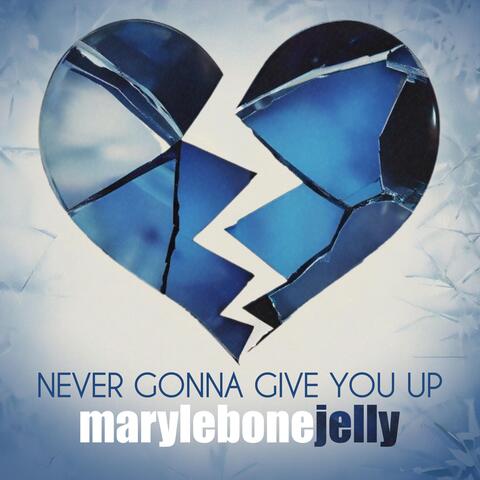 Never Gonna Give You Up
