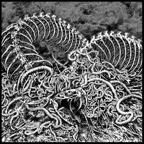 DESCENSION