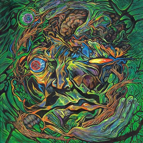 The Maze Of Now