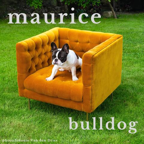 Bulldog
