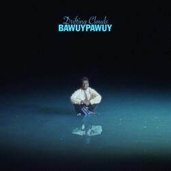 Bawuypawuy