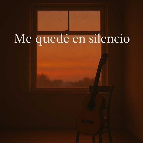 Me quedé en silencio
