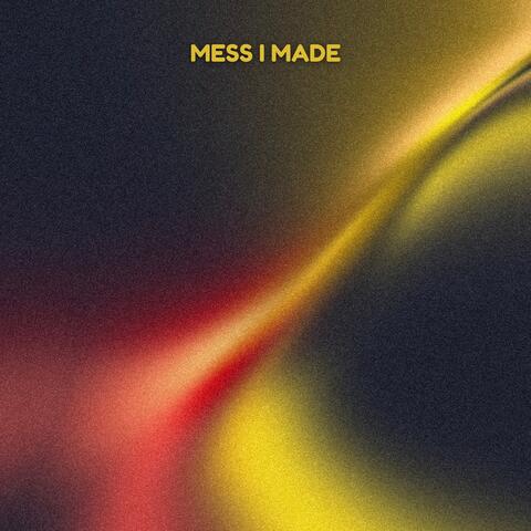 Mess I Made