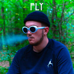 Fly
