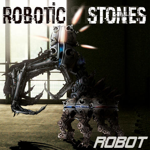 Robot