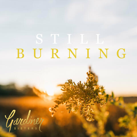 Still Burning