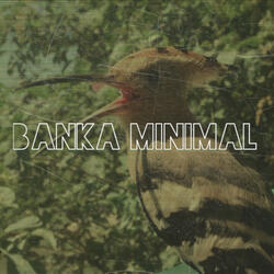 Banka Minimal