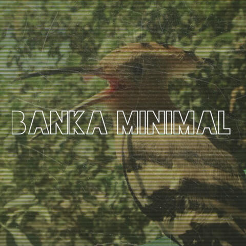 Banka Minimal